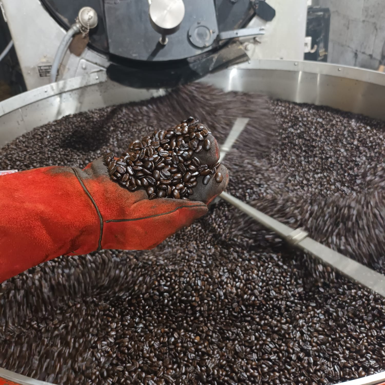 Why Our Coffee Almost Never Causes Jitters or Headaches