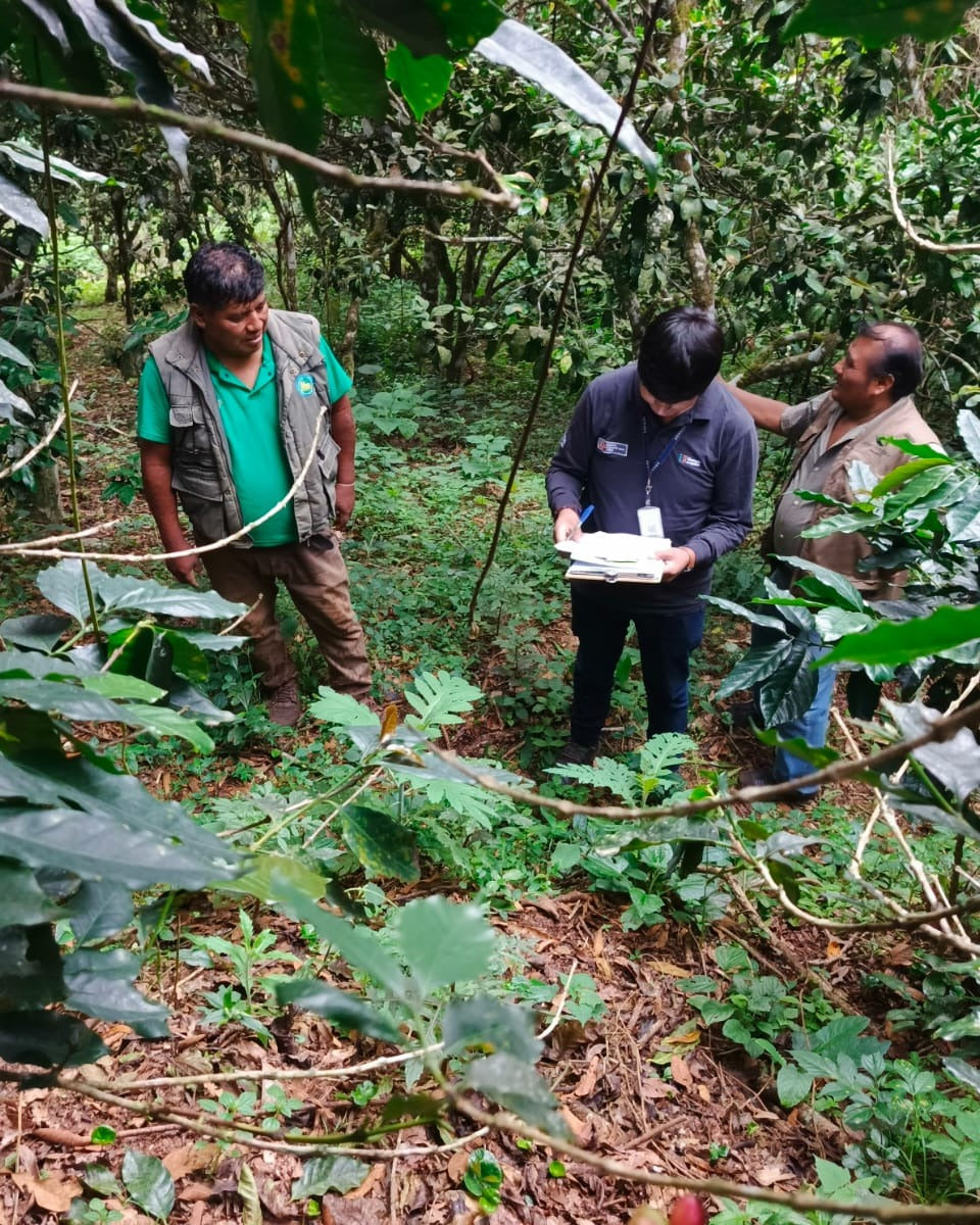 Three individuals in a forest setting, with one holding papers.