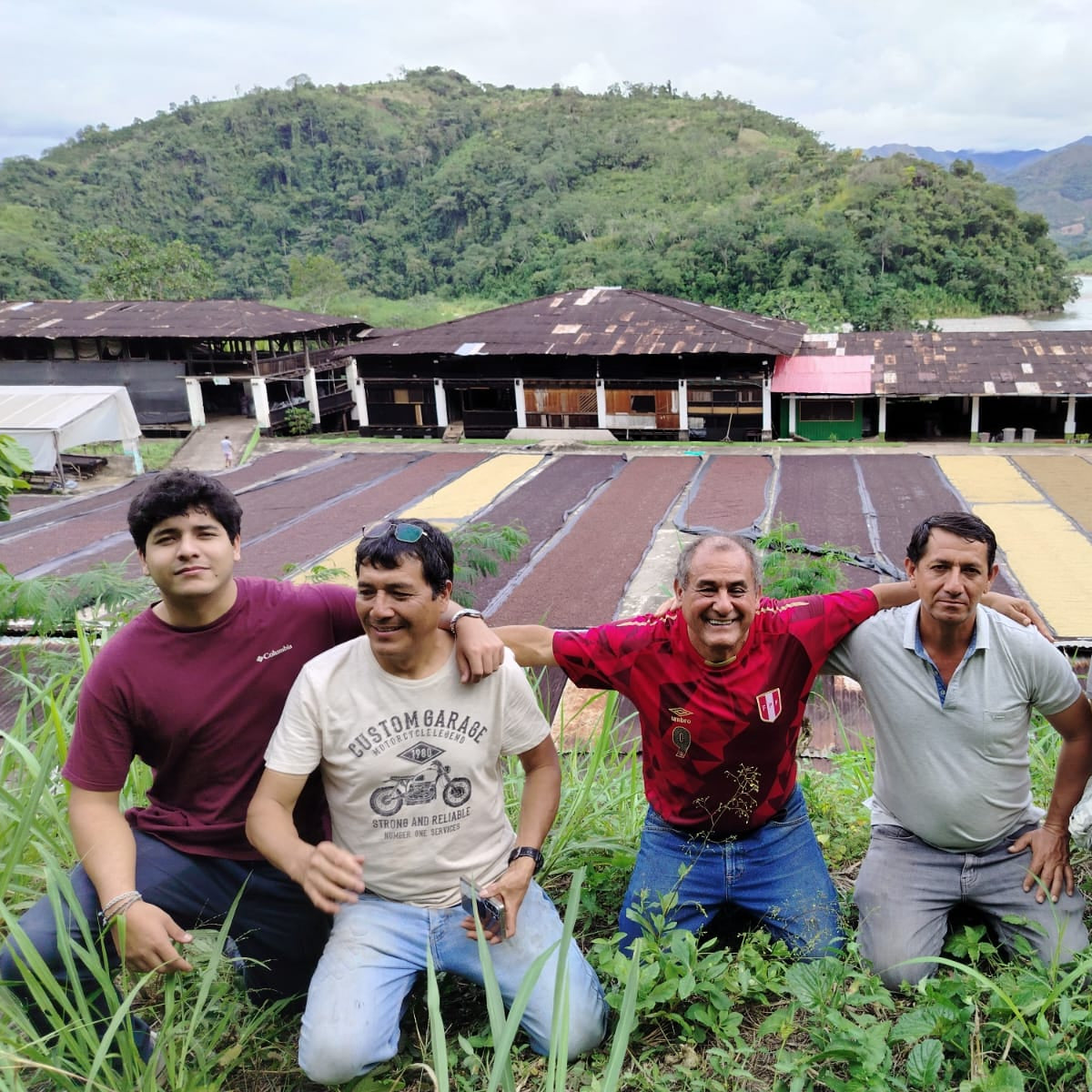 Four men posing in front of a coffee drying rack with mountains in the background