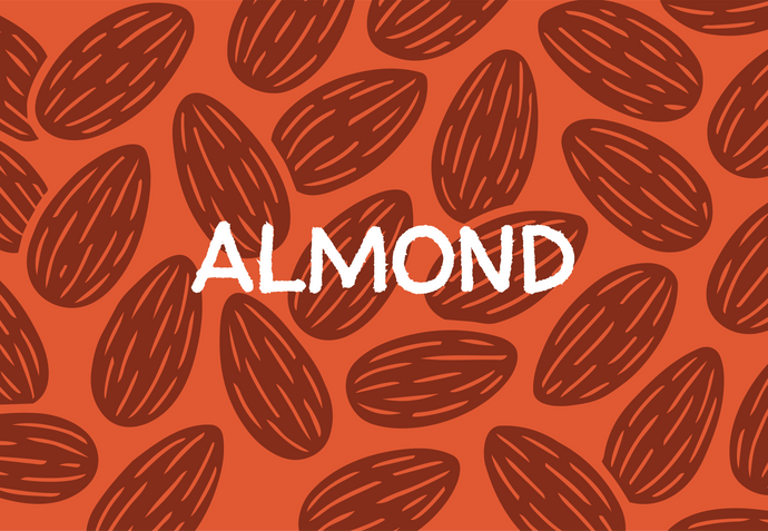 Pattern of almonds with the word 'Almond' on an orange background