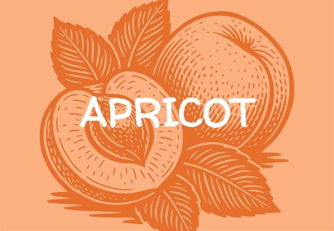 Illustration of apricots with the word 'APRICOT' on an apricot background