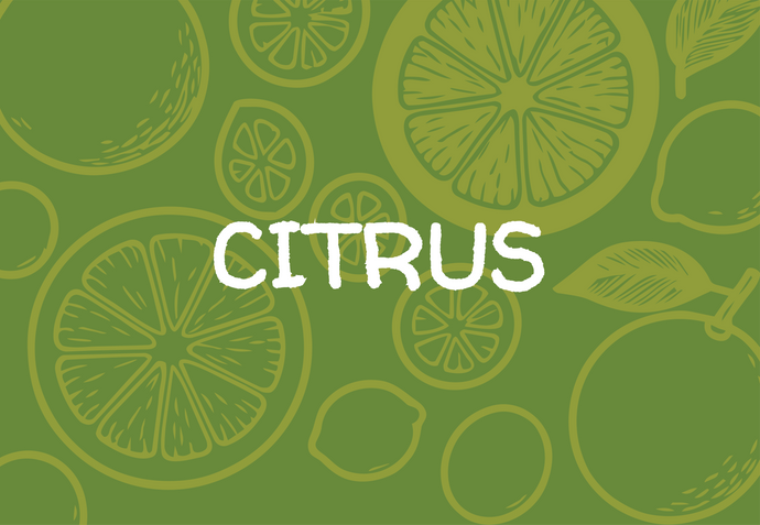 Pattern of citrus fruits with the word 'CITRUS' on a green background