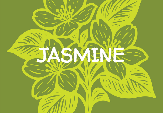 Green floral design with the word 'JASMINE' on a green background