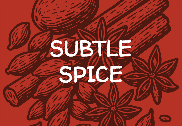 Illustrations of spices with the text 'SUBTLE SPICE' on a red background