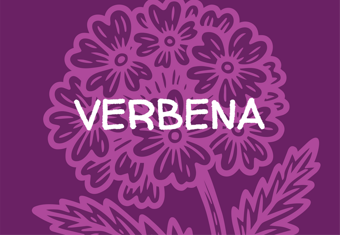 Purple floral design with 'VERBENA' text on a purple background