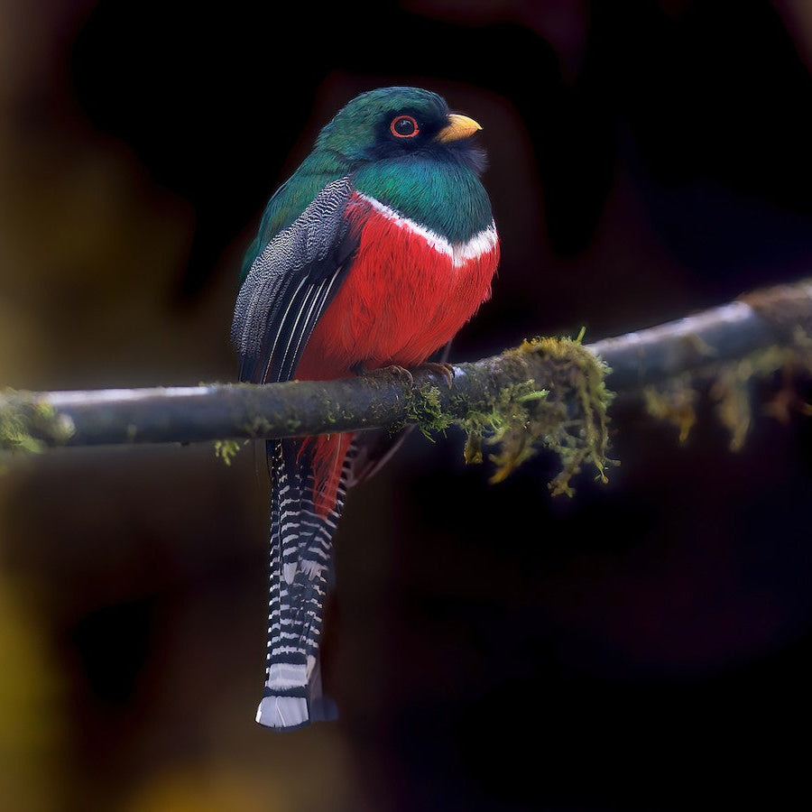 Colorful bird perched on a branch with a blurred natural background
